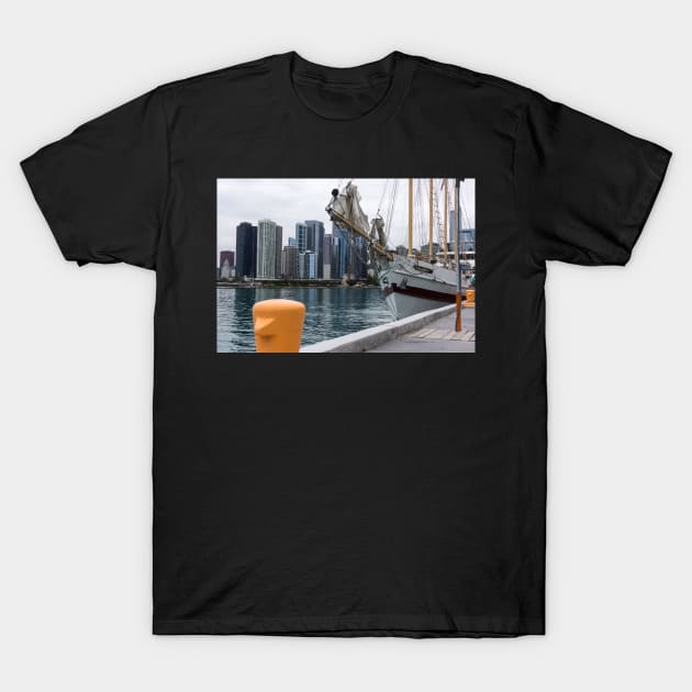 Chicago river scene T-Shirt by sma1050